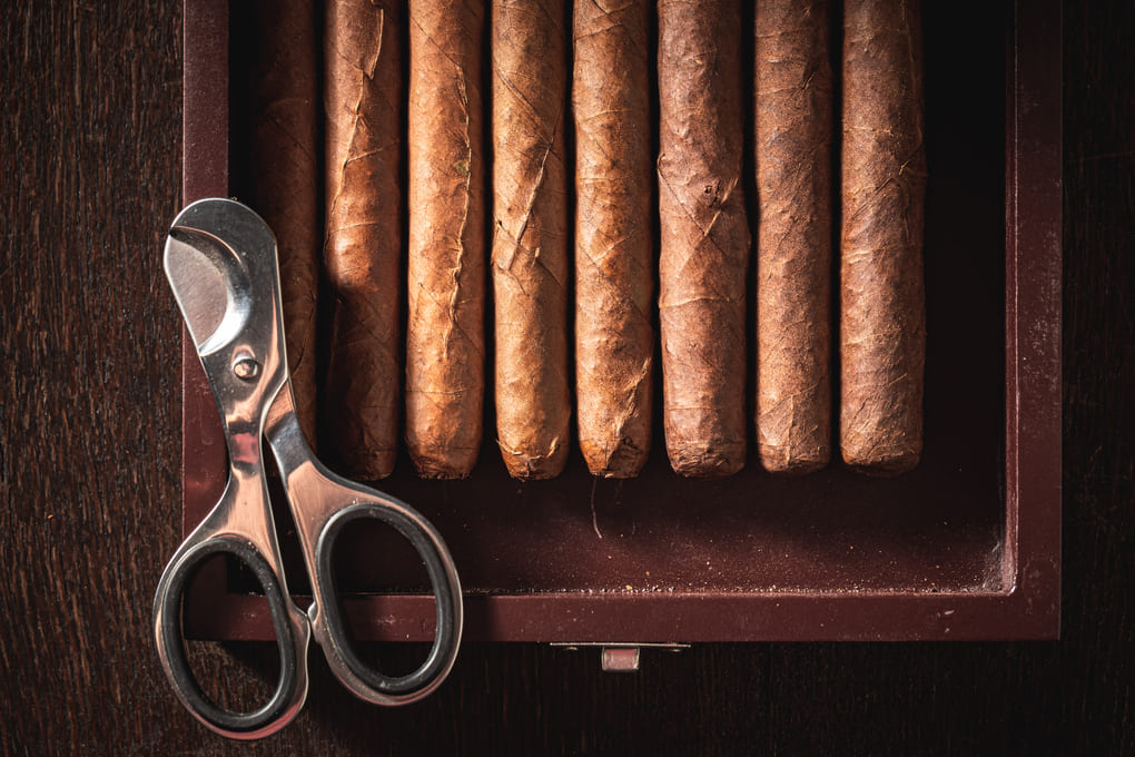 Cigarros Empatía: el placer de Esmeralda y Zafiro en cada calada