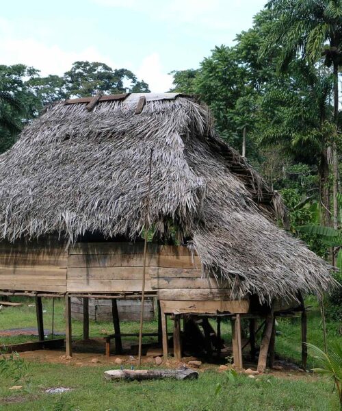 El caso Ngöbe Buglé en Panamá y el valor del análisis técnico internacional